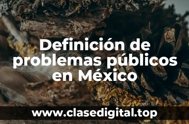 Definición de problemas públicos en México