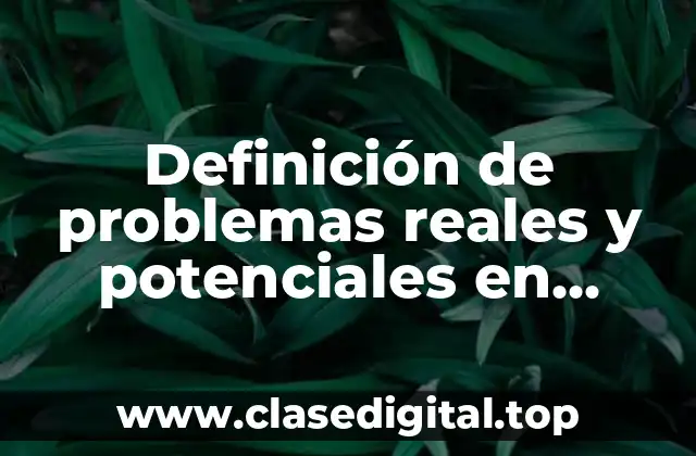 Definición técnica de problemas reales y potenciales en enfermería