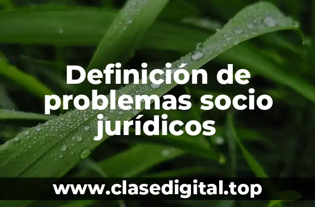 Definición de problemas socio jurídicos