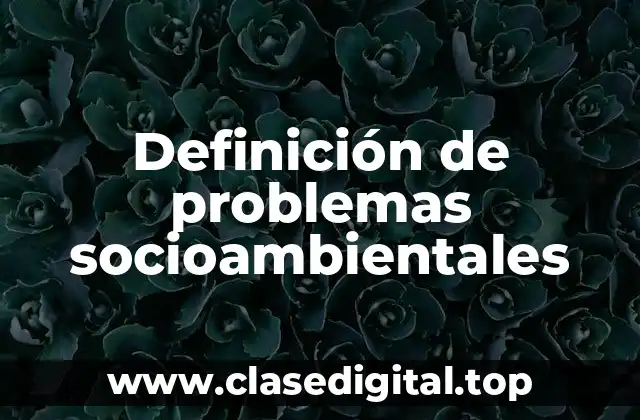 Definición de problemas socioambientales