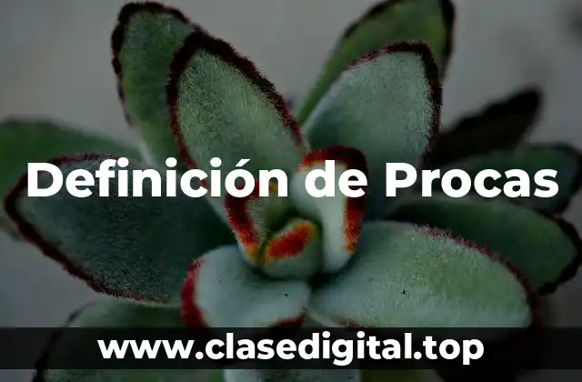 Definición de Procas