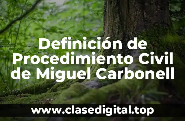 Definición de Procedimiento Civil de Miguel Carbonell