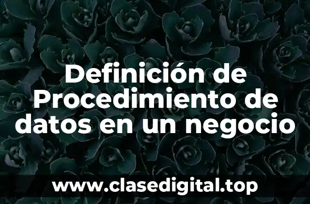 Definición de Procedimiento de datos en un negocio