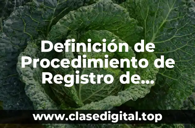 Definición de Procedimiento de Registro de Inventarios Perpetuos