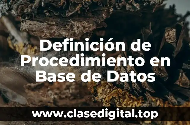 Definición de Procedimiento en Base de Datos