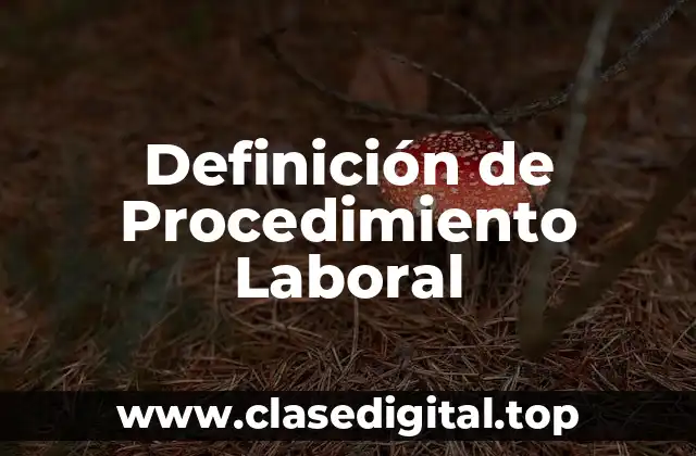 Definición de Procedimiento Laboral