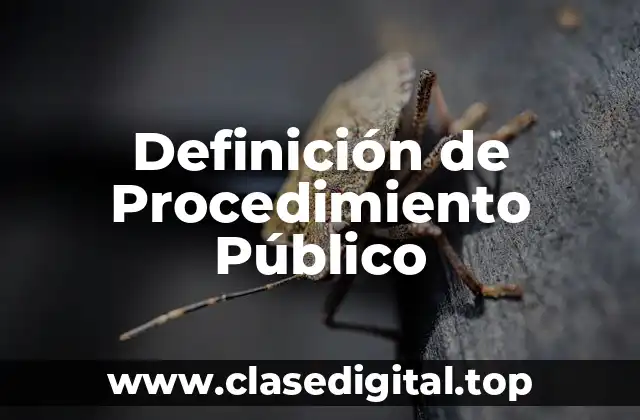 Definición técnica de Procedimiento Público