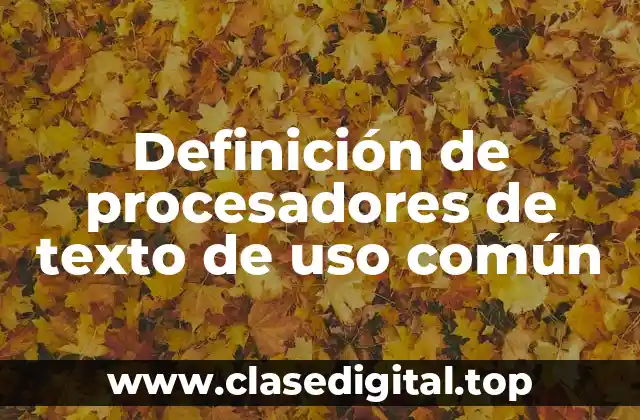 Definición de procesadores de texto de uso común