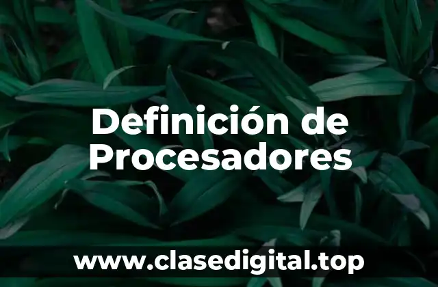 Definición de Procesadores
