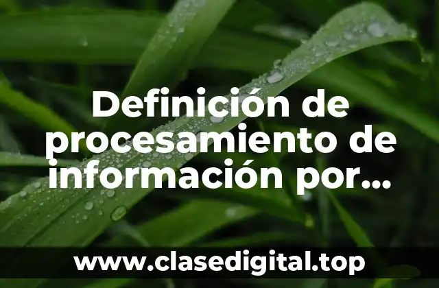 Definición de procesamiento de información por medios digitales