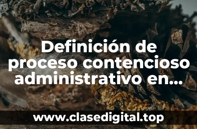 Definición de proceso contencioso administrativo en México