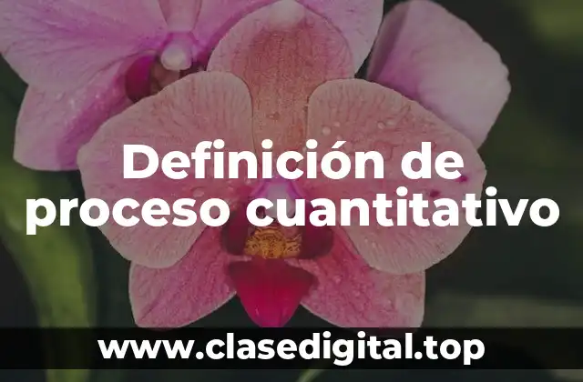 Definición de proceso cuantitativo