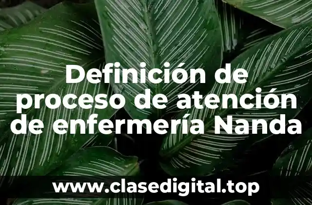 Definición de proceso de atención de enfermería Nanda