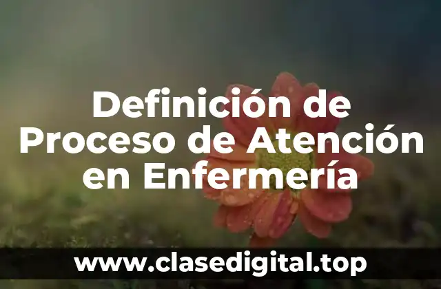 Definición de Proceso de Atención en Enfermería