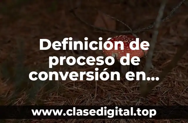 Definición de proceso de conversión en producción