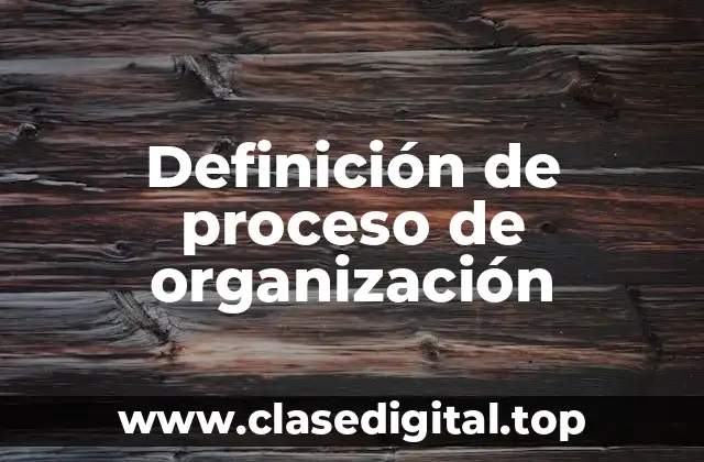Definición de proceso de organización