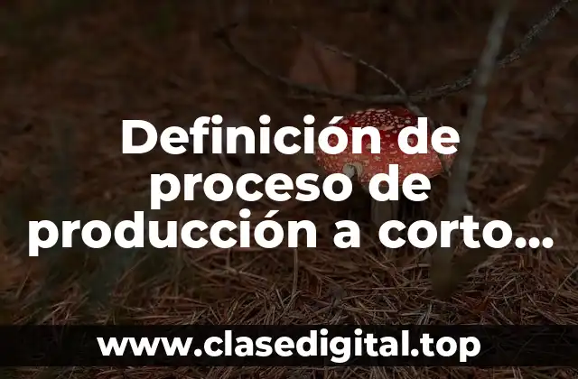 Ejemplos de proceso de producción a corto plazo