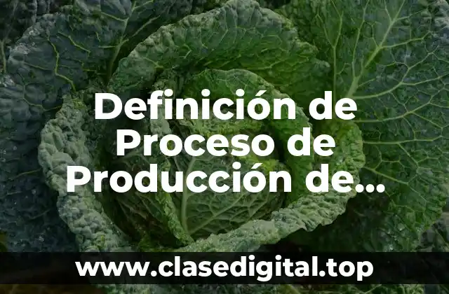 Definición Técnica de Proceso de Producción de Bienes y Servicios