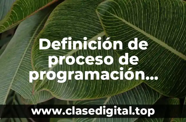 Definición de proceso de programación paralela y distribuida