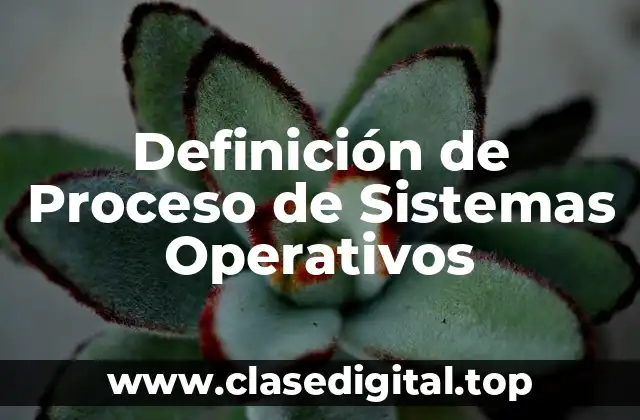 Definición de Proceso de Sistemas Operativos