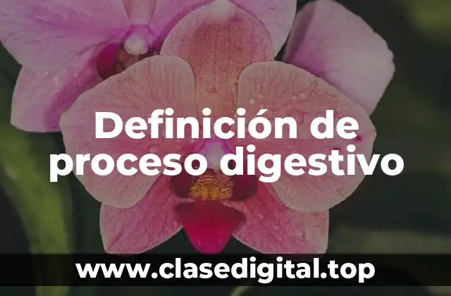 Definición de proceso digestivo