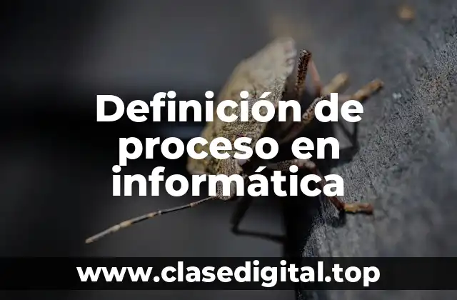 Definición de proceso en informática