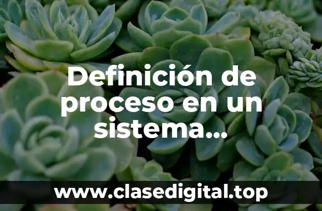 Definición de proceso en un sistema computacional