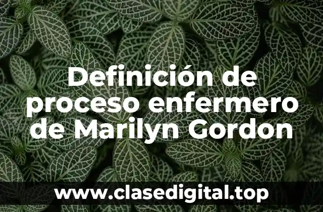 Definición de proceso enfermero de Marilyn Gordon