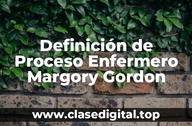 Definición de Proceso Enfermero Margory Gordon