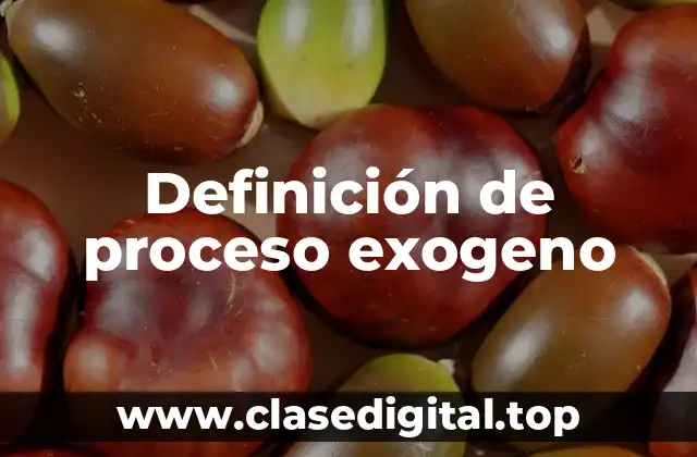 Definición de proceso exogeno