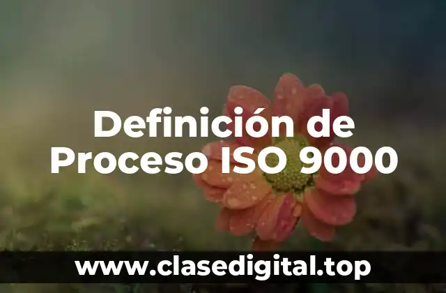 Definición Técnica de Proceso ISO 9000