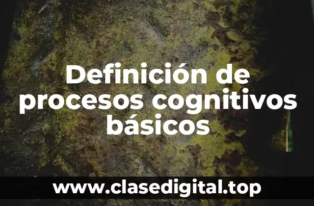 Definición de procesos cognitivos básicos