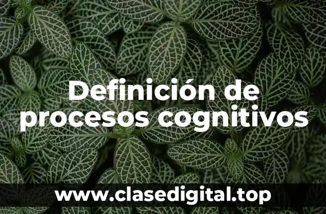 Definición técnica de procesos cognitivos