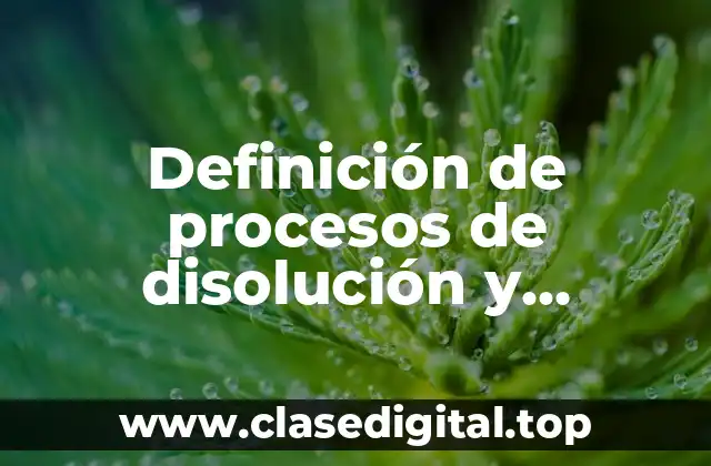 Ejemplos de procesos de disolución y liquidación de una empresa