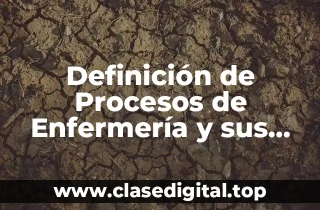 Definición de Procesos de Enfermería y sus Etapas