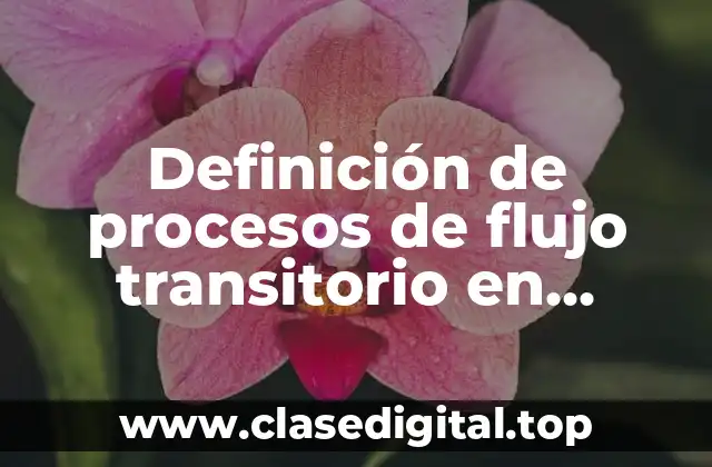 Definición de procesos de flujo transitorio en termodinámica