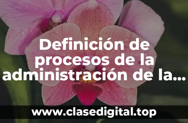 Definición de procesos de la administración de la construcción