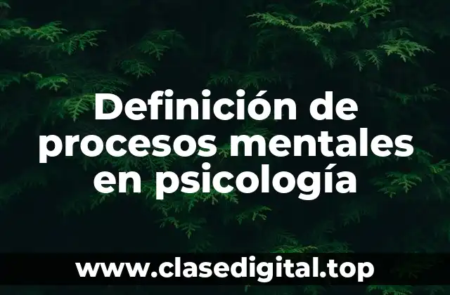 Definición de procesos mentales en psicología