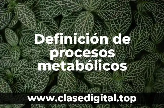 Definición técnica de procesos metabólicos