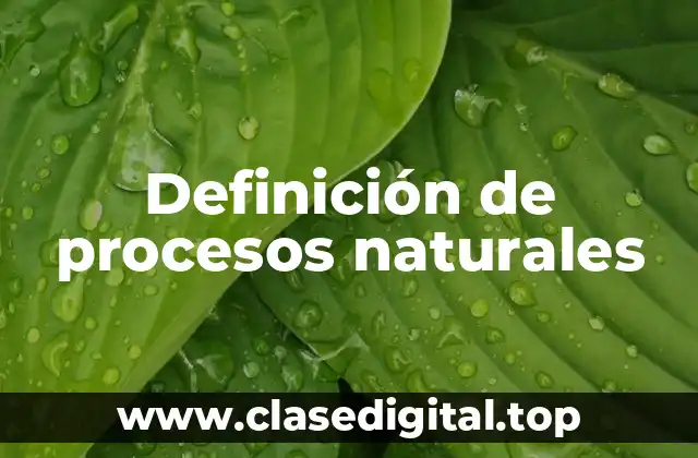 Ejemplos de procesos naturales