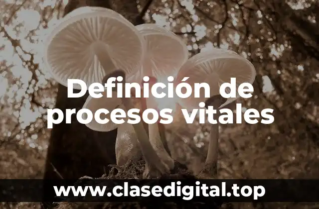 Definición de procesos vitales