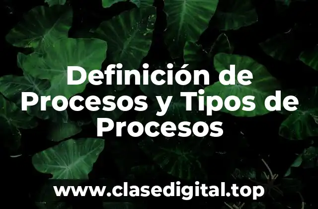 Definición de Procesos y Tipos de Procesos