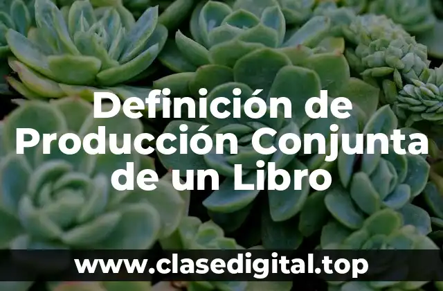 Definición de Producción Conjunta de un Libro