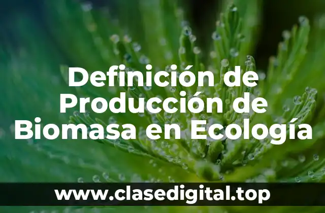 Definición de Producción de Biomasa en Ecología