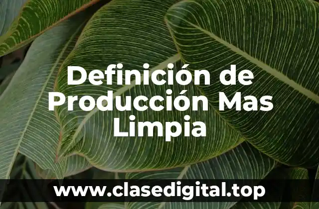 Definición de Producción Mas Limpia