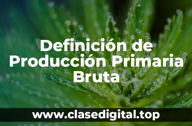 Definición de Producción Primaria Bruta