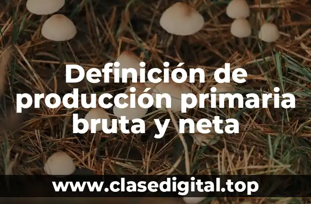 Definición de producción primaria bruta y neta