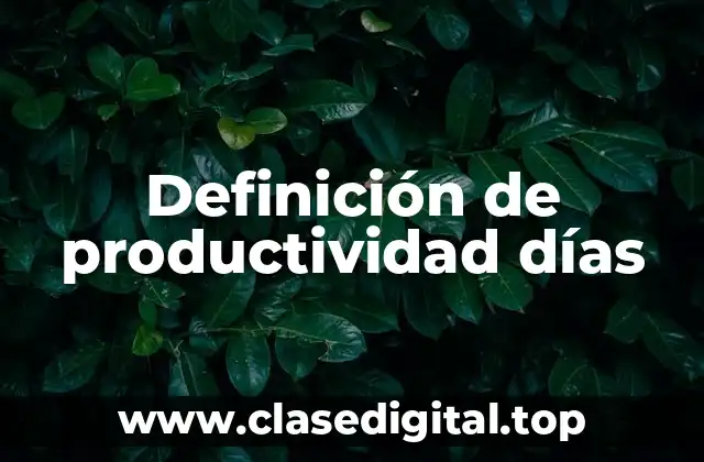 Definición de productividad días
