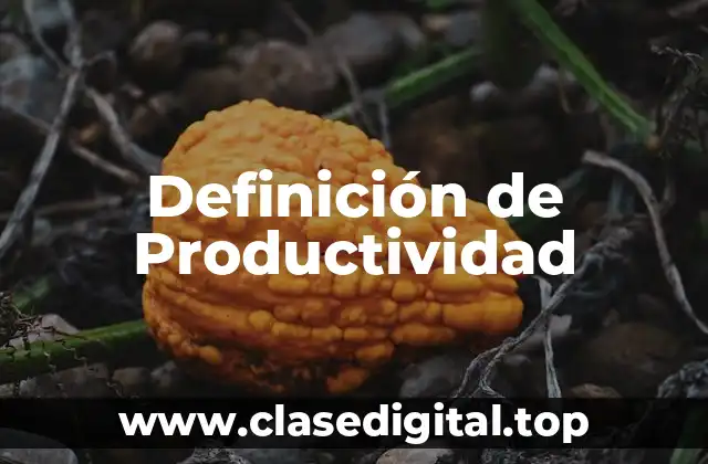 Definición de Productividad