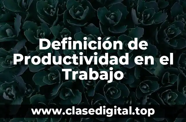 Definición de Productividad en el Trabajo